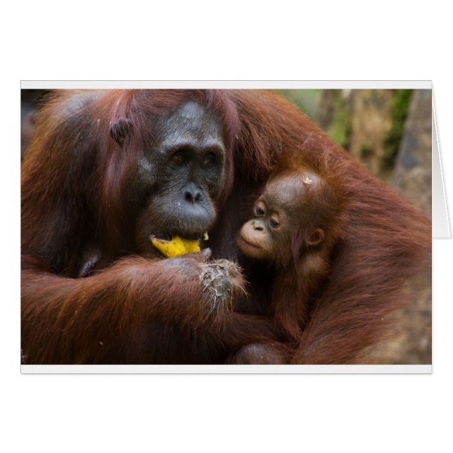 Mutter und Sohn (Vorderseite (Horizontal))