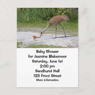 Mutter-Vogel und Vogelbaby Sandhill Kräne Einladung