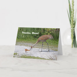 Mutter-Vogel und Vogelbaby Sandhill Kräne Karte