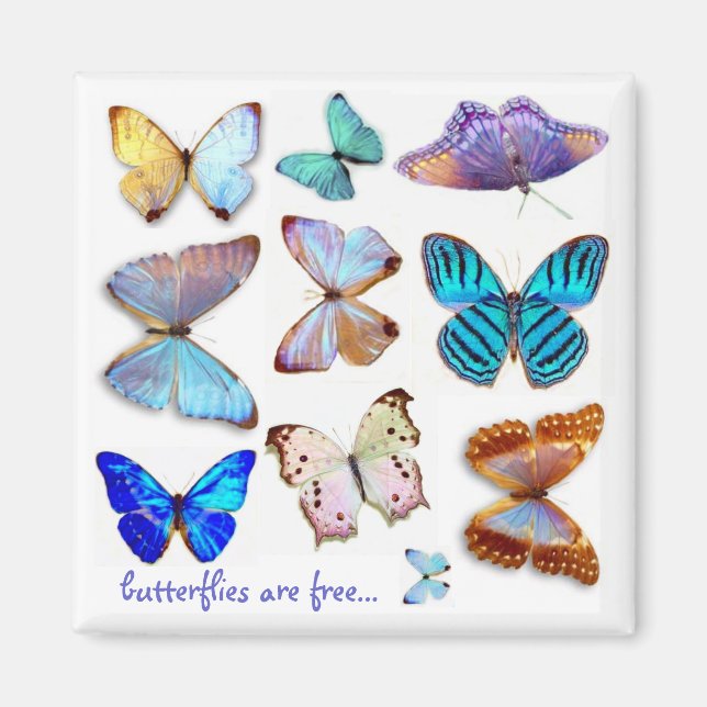 Mutter von Pearl Butterflies Magnet von S Ambrose (Vorne)