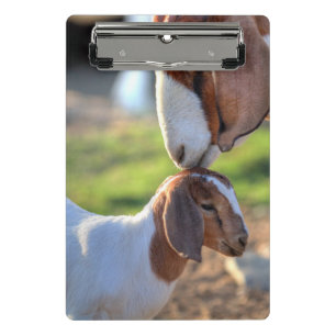 Mutter-Ziege u. Baby Mini Klemmbrett