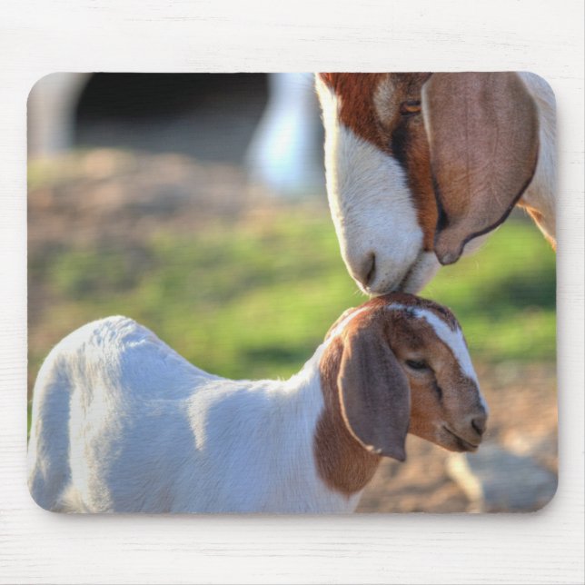 Mutter-Ziege u. Baby Mousepad (Vorne)