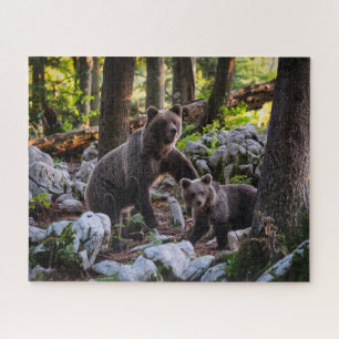 Mutterbär und -keule Slowenien