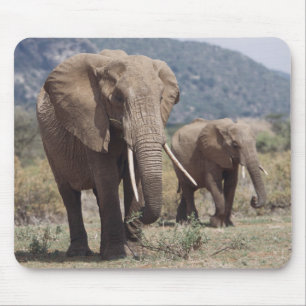 MutterElefant, der mit Elefantenkalb spaziert Mousepad