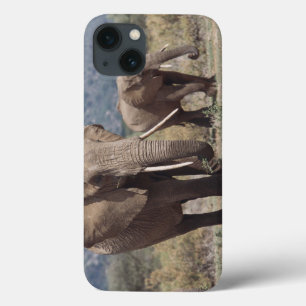 Mutterelefant, der mit Elefantkalb geht Case-Mate iPhone Hülle