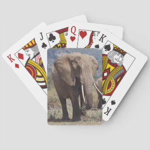 Mutterelefant geht mit Elefantenkalb Spielkarten
