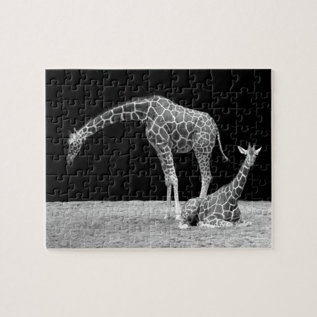 Muttergiraffen und Babygiraffen, schwarz und weiß (Horizontal)