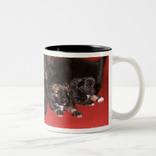 Mutterhund mit Welpen Zweifarbige Tasse