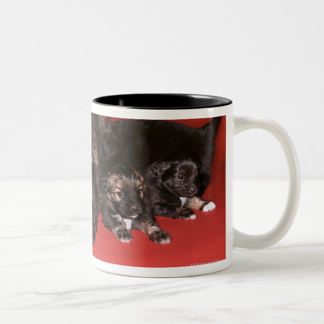 Mutterhund mit Welpen Zweifarbige Tasse (Rechts)