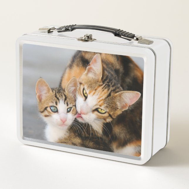 Mutterkatzen Lieben Niedlich Baby Kitten Animal Pe Metall Brotdose (Vorderseite)