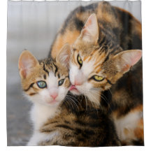Mutterkatzen-Lieben niedliches Kätzchen, Wanne