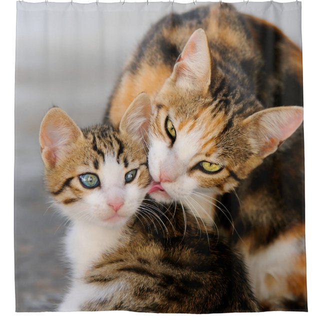 Mutterkatzen-Lieben niedliches Kätzchen, Wanne Duschvorhang (Vorderseite)