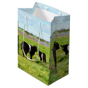 Mutterkühe und Baby-Galloway-Kuh, Geschenktasche Mittlere Geschenktüte