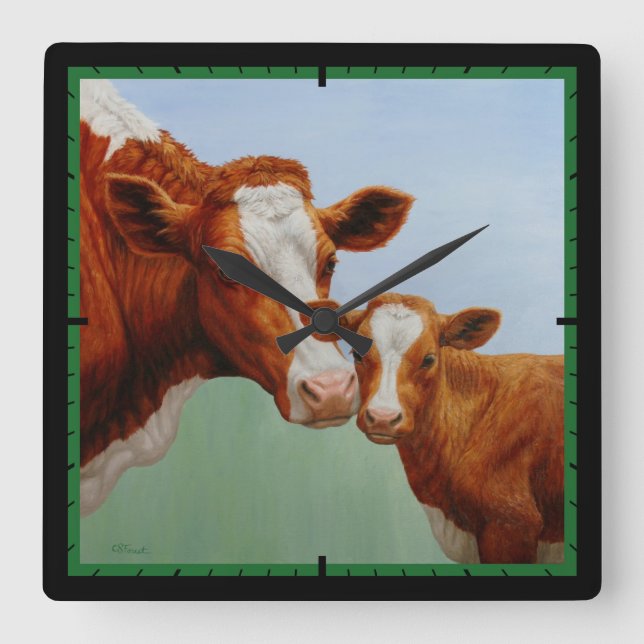 Mutterkühe von Guernsey und Niedliches Kalb Quadratische Wanduhr (Vorderseite)