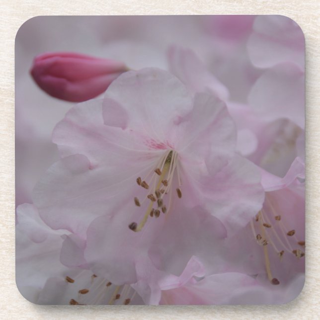 Mutterkummer Untersetzer (Vorderseite)