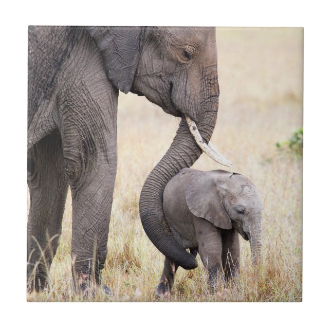 Mutterliche Liebe Fliese (Vorderseite)