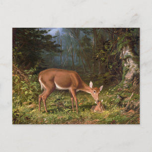Mütterliche Liebe Mutter und Baby Deer Postkarte