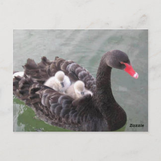 Mutterliebe Postkarte