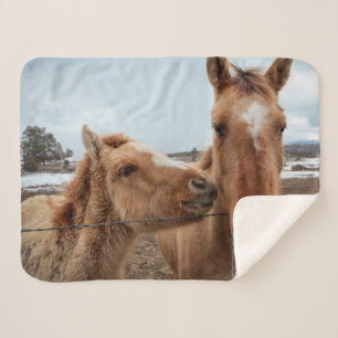 Mutterpferd Sherpadecke
