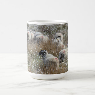 Mutterschafe in Gras aus Baumwolle in Nordhumberla Kaffeetasse