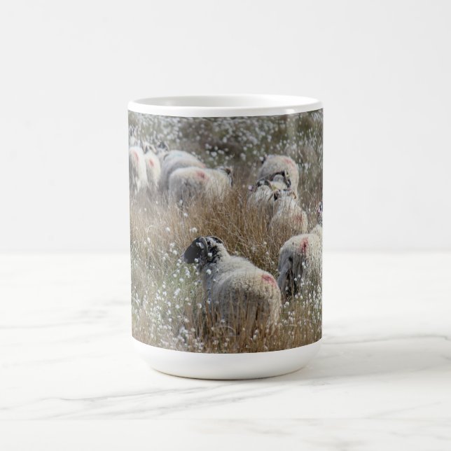 Mutterschafe in Gras aus Baumwolle in Nordhumberla Kaffeetasse (Mittel)