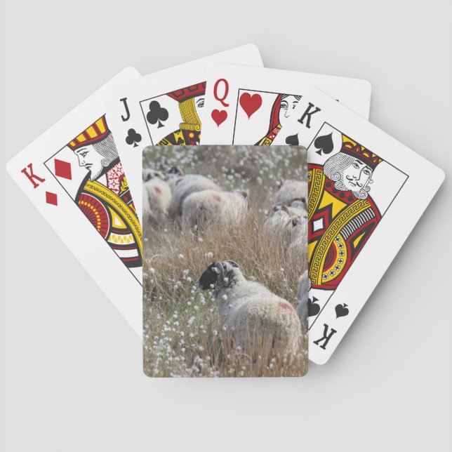 Mutterschafe in Gras aus Baumwolle in Nordhumberla Spielkarten (Rückseite)