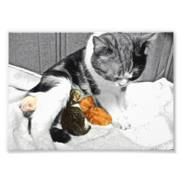 Mutterschaft Fotodruck