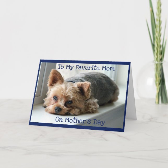 Muttertag für Yorkie-Mamas geklappte Grußkarte Karte (Vorderseite)