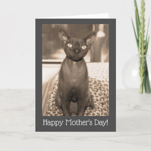 Muttertag Katzenkarte   Devon Rex Vintage-Foto Karte