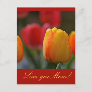 Muttertag Postkarte