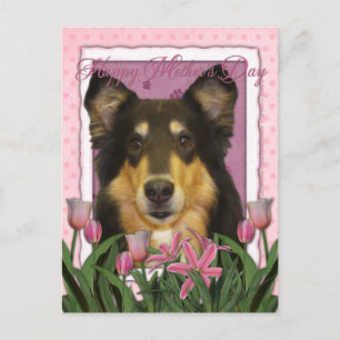 Muttertag - Rosa Tulips - Collie - Caroline Postkarte