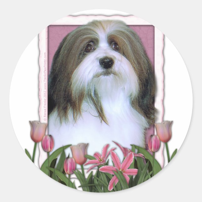 Muttertag - Rosa Tulips - Havanese Runder Aufkleber (Vorderseite)