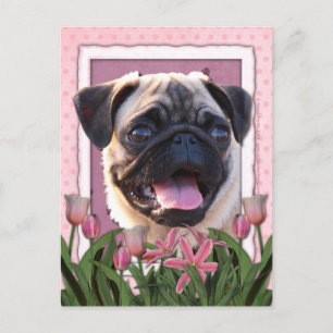 Muttertag - Rosa Tulips - Mops Postkarte