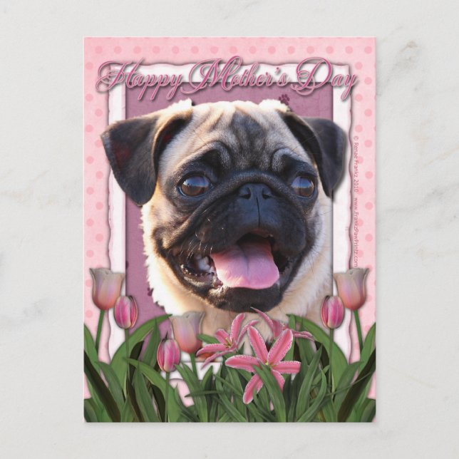 Muttertag - Rosa Tulips - Mops Postkarte (Vorderseite)