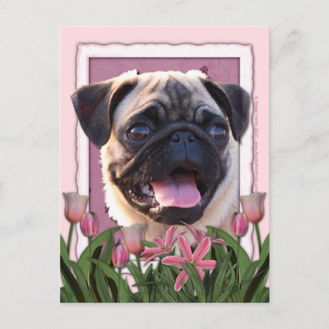 Muttertag - Rosa Tulips - Mops Postkarte (Vorderseite)