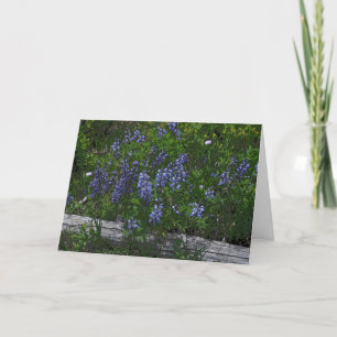 Muttertag von Lupins Feiertagskarte