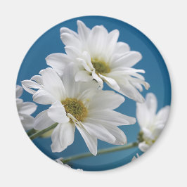 Muttertaggarten der Liebe, Daisies, Blue Sky Magnet