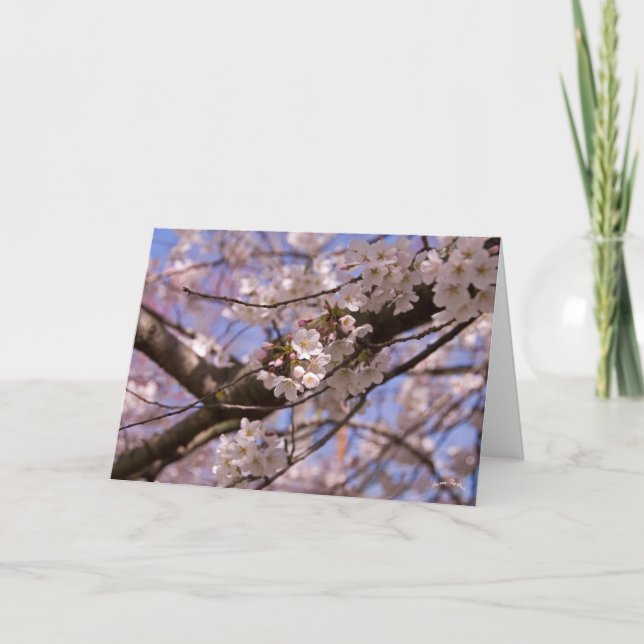 Muttertagsblüten Karte (Vorderseite)