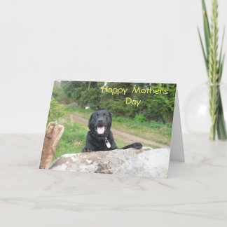 Muttertagsgrüße Karte