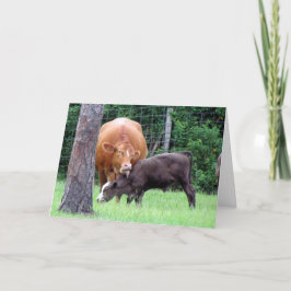 Muttertagskarte der Kuh Dankeskarte