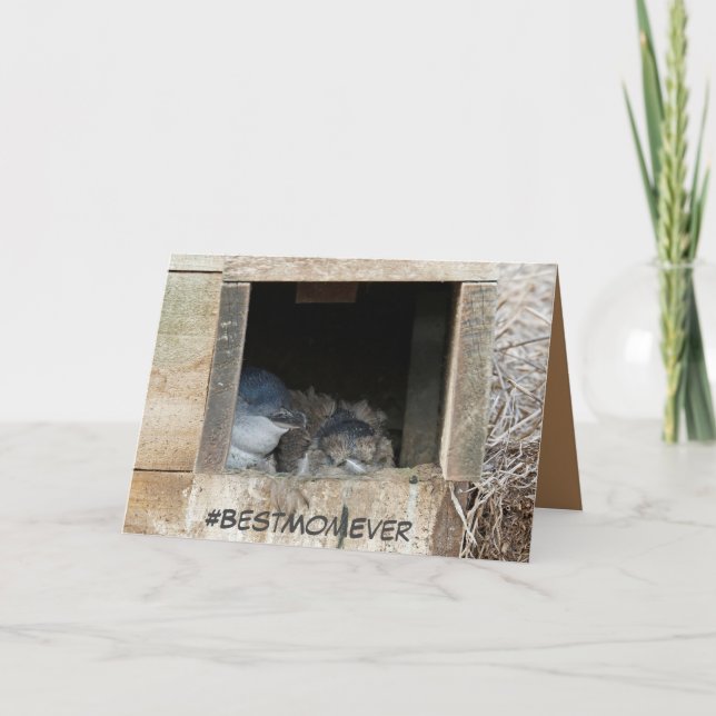 Muttertagskarte mit kleinen Pinguinen Karte (Vorderseite)