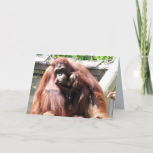 Muttertagskarte Orangutan Karte