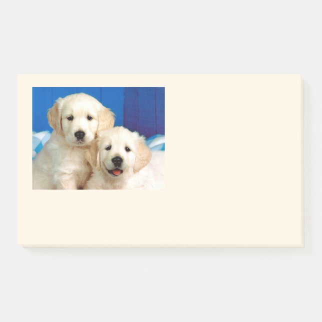 Muttertiere Post-it Klebezettel (Vorderseite)