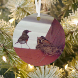 Muttervögel mit Babyvögeln im Nest-Foto Ornament Aus Metall