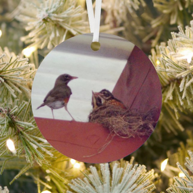 Muttervögel mit Babyvögeln im Nest-Foto Ornament Aus Metall (InSitu)