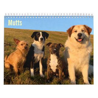 Mutts 2027 Wandkalender