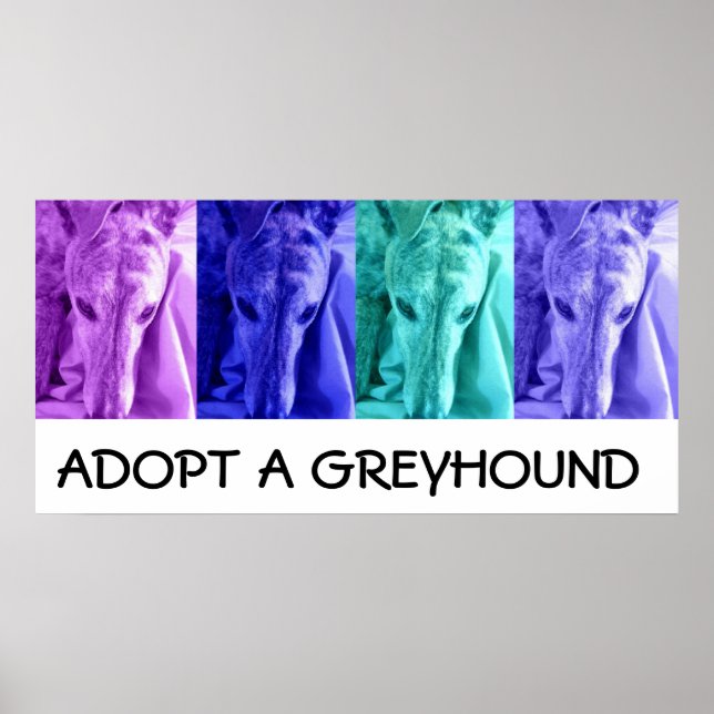 Mx4 Adopt a Greyhound Poster (Vorne)