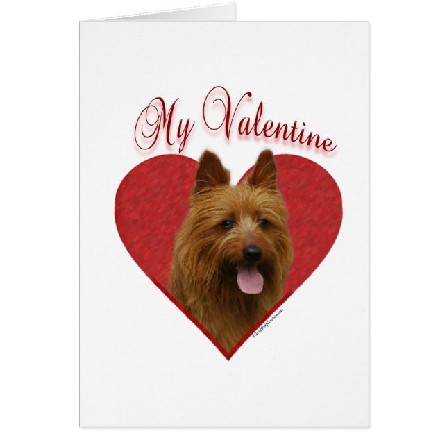 My Australian Terrier Valentine (Devant)