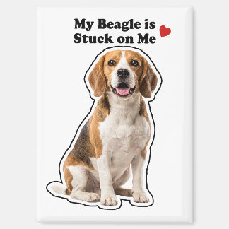 My Beagle Is Stuck On Me Cute Dog Lover Magnet