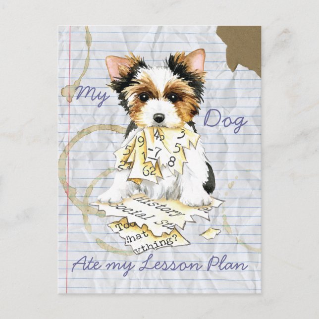 My Biewer Terrier Ate My Lesson Plan Postkarte (Vorderseite)